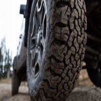 لاتيني بارد صغير